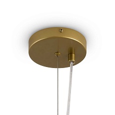 Потолочный светильник Freya FR5584CL-L45G 5