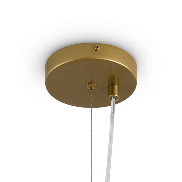 Потолочный светильник Freya FR5584CL-L45G Фото № 6