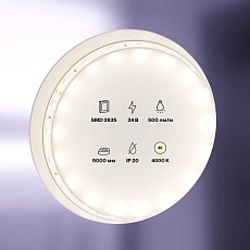 Светодиодная лента Maytoni Technical 4,8W/m 60LED/m 2835SMD дневной белый 5M 10137 3