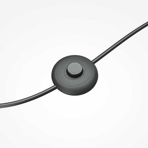 Торшер Maytoni MOD348FL-L24BBS3K Фото № 9