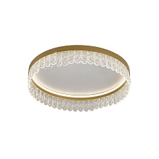 Потолочный светодиодный светильник F-Promo Lunetta 4186-1C 1