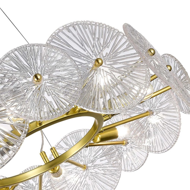 Подвесная люстра ST Luce Flero SL1657.203.08 изображение 2 Подвесная люстра ST Luce Flero SL1657.203.08 Фото № 2