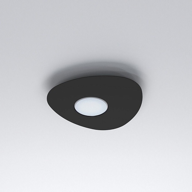 Потолочный светильник Nowodvorski Organic 8303 изображение 2 Потолочный светильник Nowodvorski Organic 8303 Фото № 2