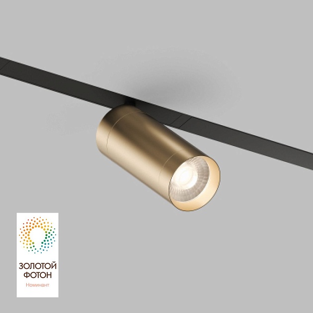 Трековый светодиодный светильник Denkirs Smart Spot DK8020-BG изображение 1 Трековый светодиодный светильник Denkirs Smart Spot DK8020-BG Фото № 1
