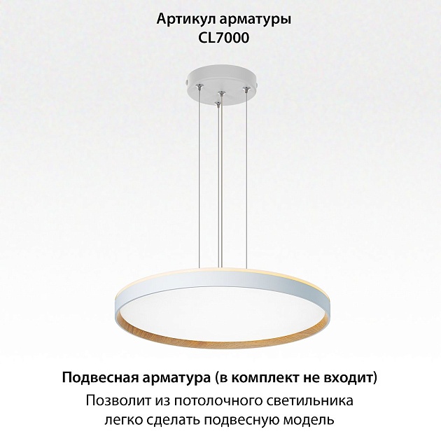 Потолочный светодиодный светильник Citilux Etalon CL750500R Фото № 3