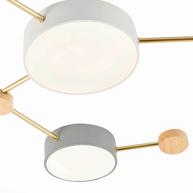 Потолочный светильник Evoluce DOSSENA SLE600102-06 Фото № 2