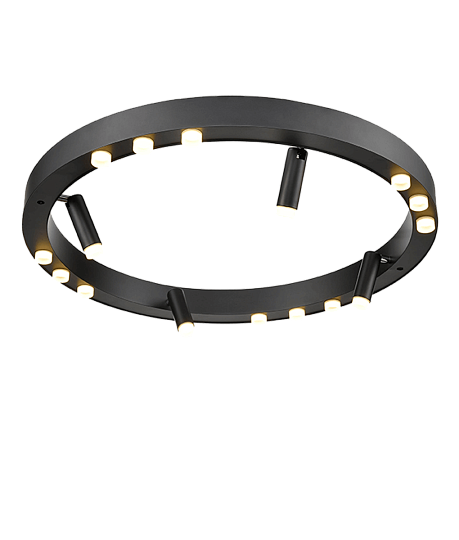 Потолочный светильник Vele Luce Satellite VL7172L12 Фото № 7