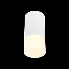 Потолочный светильник ST Luce ST100.512.01 2