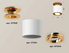 Комплект накладного поворотного светильника Ambrella light XS7401120 SWH/PYG белый песок/золото желтое полированное MR16 GU5.3 (N7929, C7401, N7004) 1