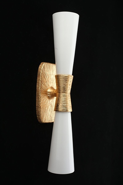 Бра Aployt Hloya APL.800.01.02 Фото № 5