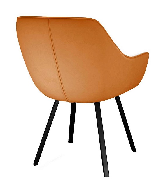 Кухонный стул DikLine 252 00-00061882 Фото № 3