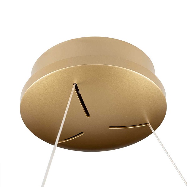 Люстра Citilux PYTHON CL220283 изображение 12 Люстра Citilux PYTHON CL220283 Фото № 12