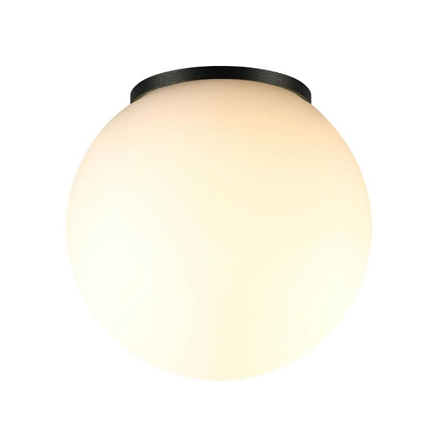 Потолочный светильник Odeon Light NATURE 7124/1C Фото № 4