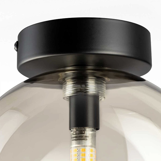 Светильник Citilux ORTON CL202511 изображение 9 Светильник Citilux ORTON CL202511 Фото № 9