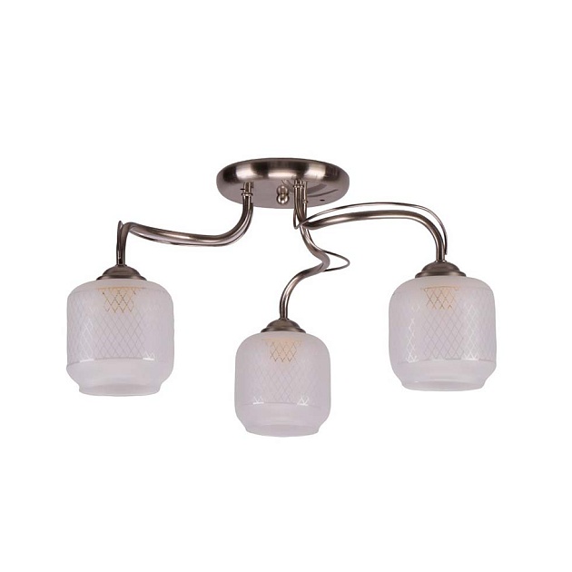 Потолочная люстра ЭкономСвет 10041/3SN WT Фото № 1