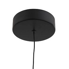 Подвесной светодиодный светильник ST Luce Bisaria SL393.403.01 1
