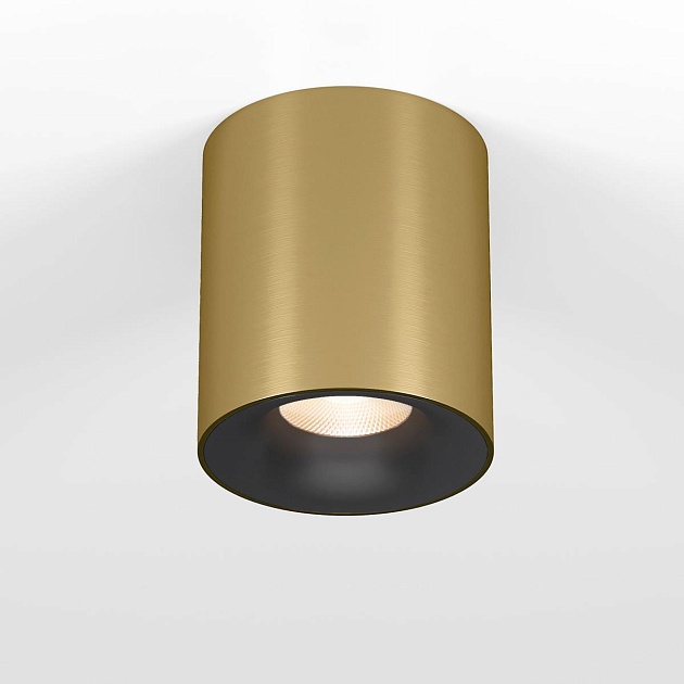 Потолочный светодиодный светильник Elektrostandard Primo 25116/LED a069413 Фото № 1