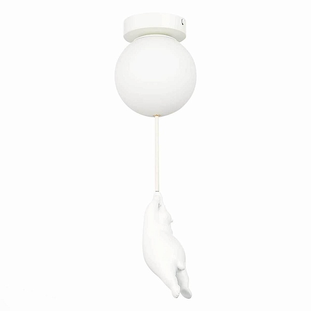 Потолочный светильник Evoluce MODENA SLE115402-01 изображение 2 Потолочный светильник Evoluce MODENA SLE115402-01 Фото № 2