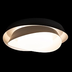 Потолочный светильник Loft IT Petale 10256 Black 5