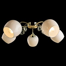 Потолочная люстра Arte Lamp Millo A9549PL-5GO 3
