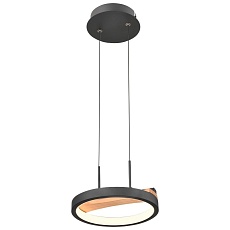 Подвесной светодиодный светильник Velante 450-023-01