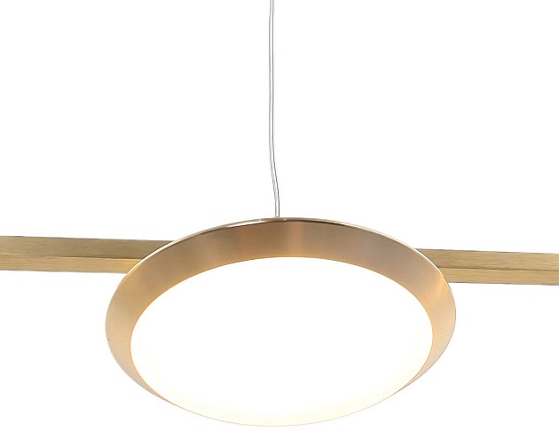 Подвесная светодиодная люстра Mizi'en Vogue MZ46391-L4 Фото № 5