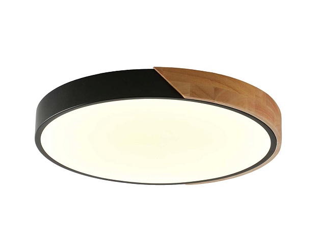 Потолочный светильник Zortes ALBERRO ZRS.01287.48 Фото № 5