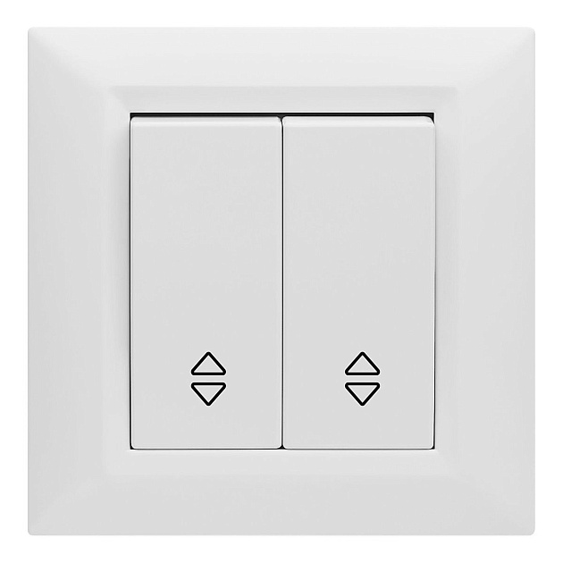 Выключатель двухклавишный проходной Vesta-Electric Roma белый FVK010103BEL Фото № 1