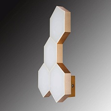 Настенный светильник Lightstar Favo 750643 1