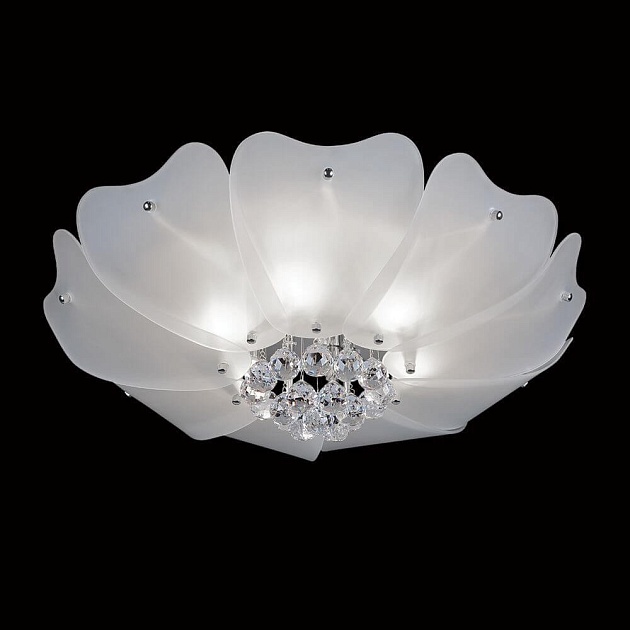 Потолочный светильник Lightstar Lobo 804020 Фото № 3