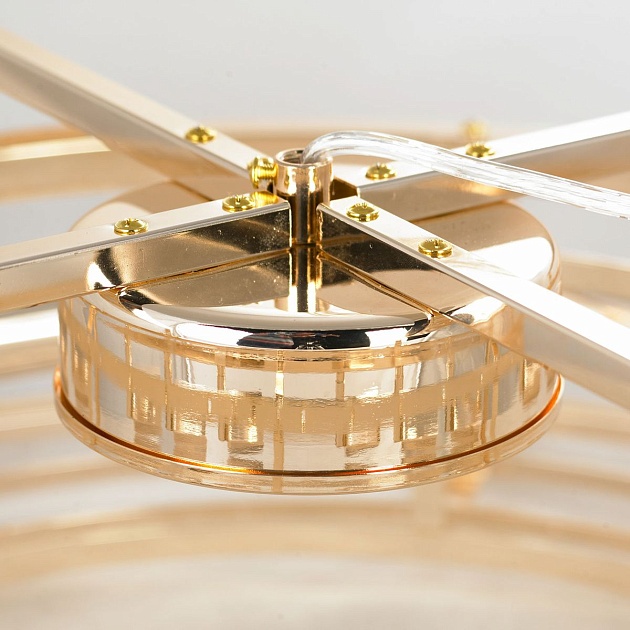 Подвесная люстра Lussole LSP-8604 изображение 4 Подвесная люстра Lussole LSP-8604 Фото № 4