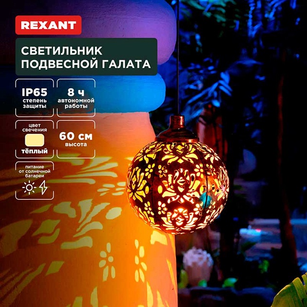 Уличный подвесной светильник REXANT 602-2403 Фото № 1