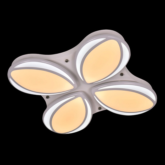 Потолочный светодиодный светильник Adilux 1011 Фото № 2