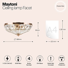 Потолочный светильник Maytoni Facet MOD094CL-04G 1