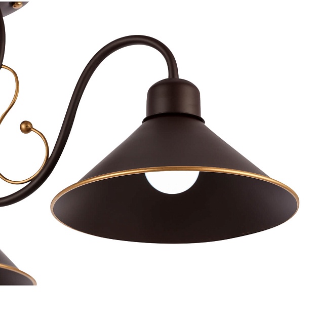 Потолочная люстра Evoluce Ciolla SLE120402-03 изображение 2 Потолочная люстра Evoluce Ciolla SLE120402-03 Фото № 2