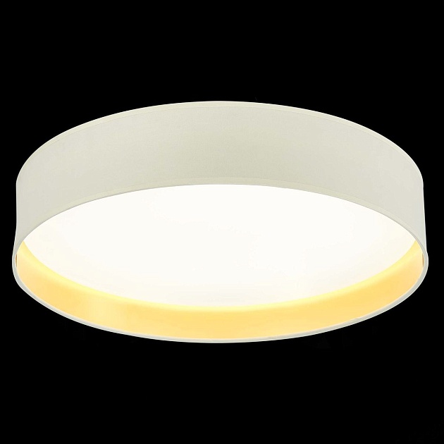 Потолочный светодиодный светильник Evoluce Brescia SLE300552-01 изображение 3 Потолочный светодиодный светильник Evoluce Brescia SLE300552-01 Фото № 3