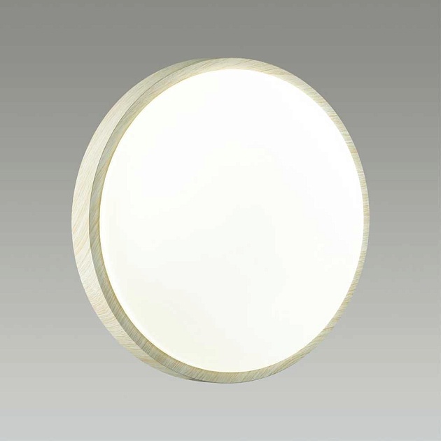 Настенно-потолочный светодиодный светильник Sonex Losta 7628/EL Фото № 6