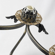 Потолочная люстра Lussole Lgo LSP-0092 5