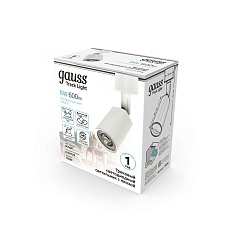 Трековый светодиодный светильник Gauss TR089 4