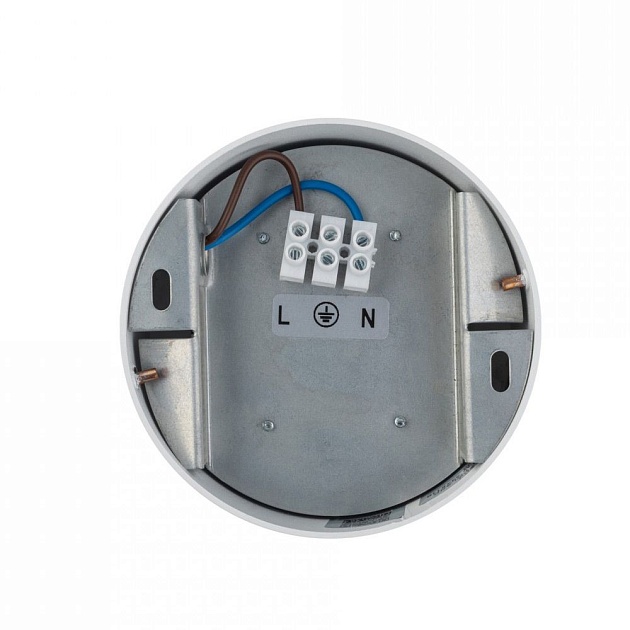 Потолочный светильник Nowodvorski Flea 8202 Фото № 2