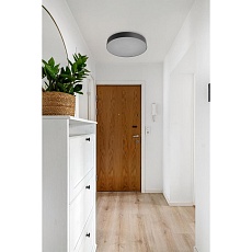 Настенно-потолочный светильник Sonex BASICA 7780/DLN 1