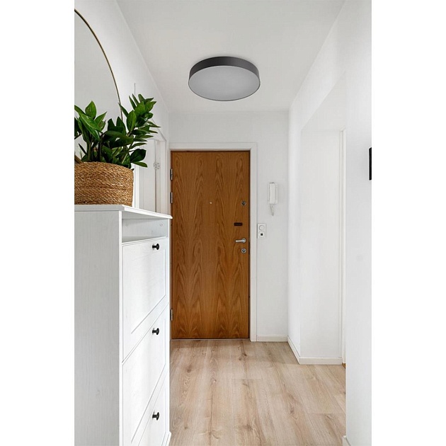 Настенно-потолочный светильник Sonex BASICA 7780/DLN Фото № 2