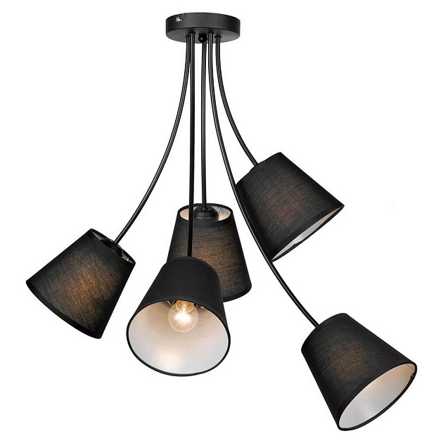 Подвесная люстра Lussole Lgo Lafayette LSP-8266 изображение 1 Подвесная люстра Lussole Lgo Lafayette LSP-8266 Фото № 1