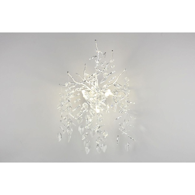 Настенный светильник Aployt Gertunia APL.847.11.03 Фото № 9