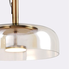 Подвесной светодиодный светильник Favourite Brandy 4258-1P 2