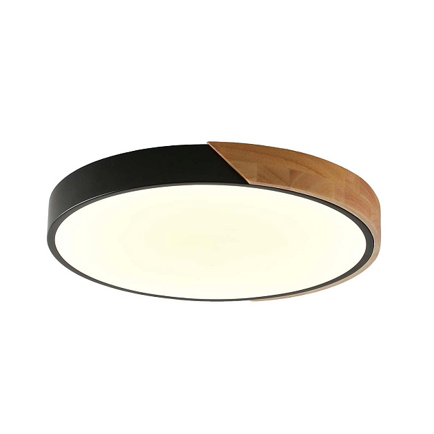 Потолочный светильник Zortes ALBERRO ZRS.01287.36 Фото № 1