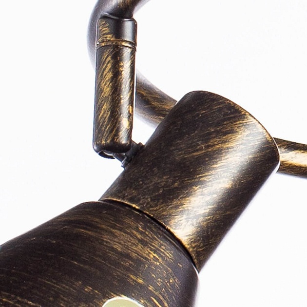 Спот Arte Lamp Cono A5218PL-3BR изображение 3 Спот Arte Lamp Cono A5218PL-3BR Фото № 3