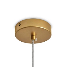 Подвесной светильник Freya Modern FR5528PL-01BS 1
