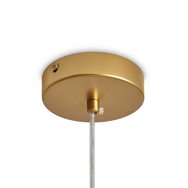 Подвесной светильник Freya Modern FR5528PL-01BS Фото № 2