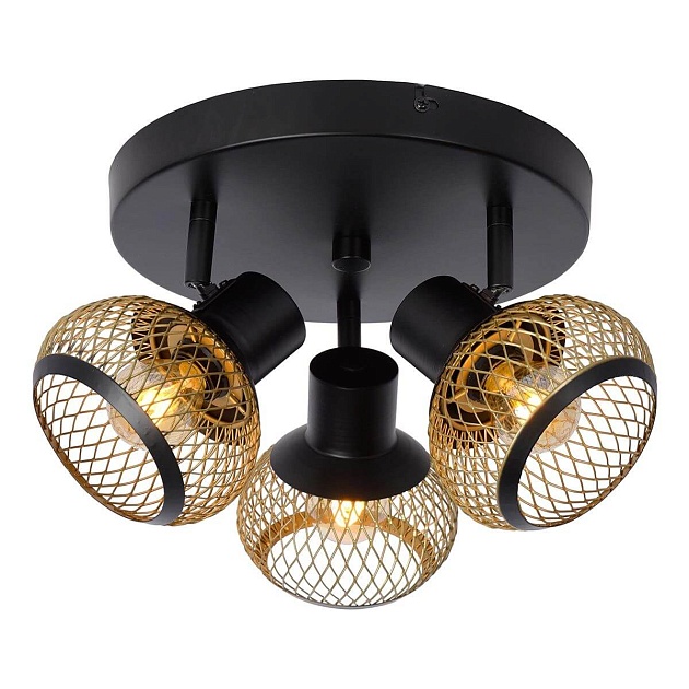 Спот Lucide Lucas 45900/13/02 Фото № 2